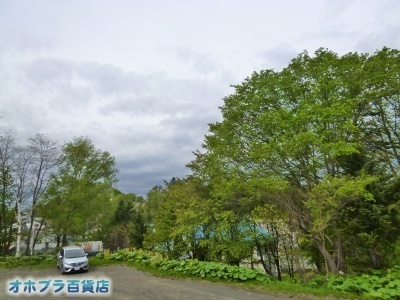 05-25FIzuSݓXE̖ks