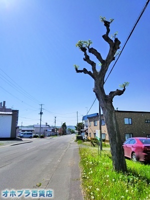 05-29FIzuSݓXE̖ks