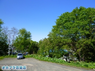 05-29FIzuSݓXE̖ks