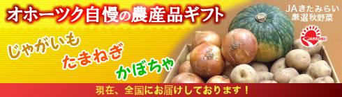 オホーツク自慢の農産品ギフト:じゃがいも・たまねぎ・かぼちゃ オホーツク自慢の農産品ギフト:じゃがいも・たまねぎ・かぼちゃ