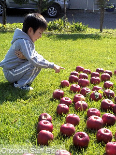 りんごと少年