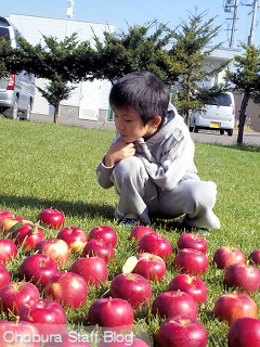 りんごと少年