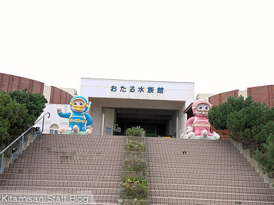 yMz鐅