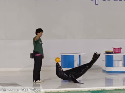 yMz鐅